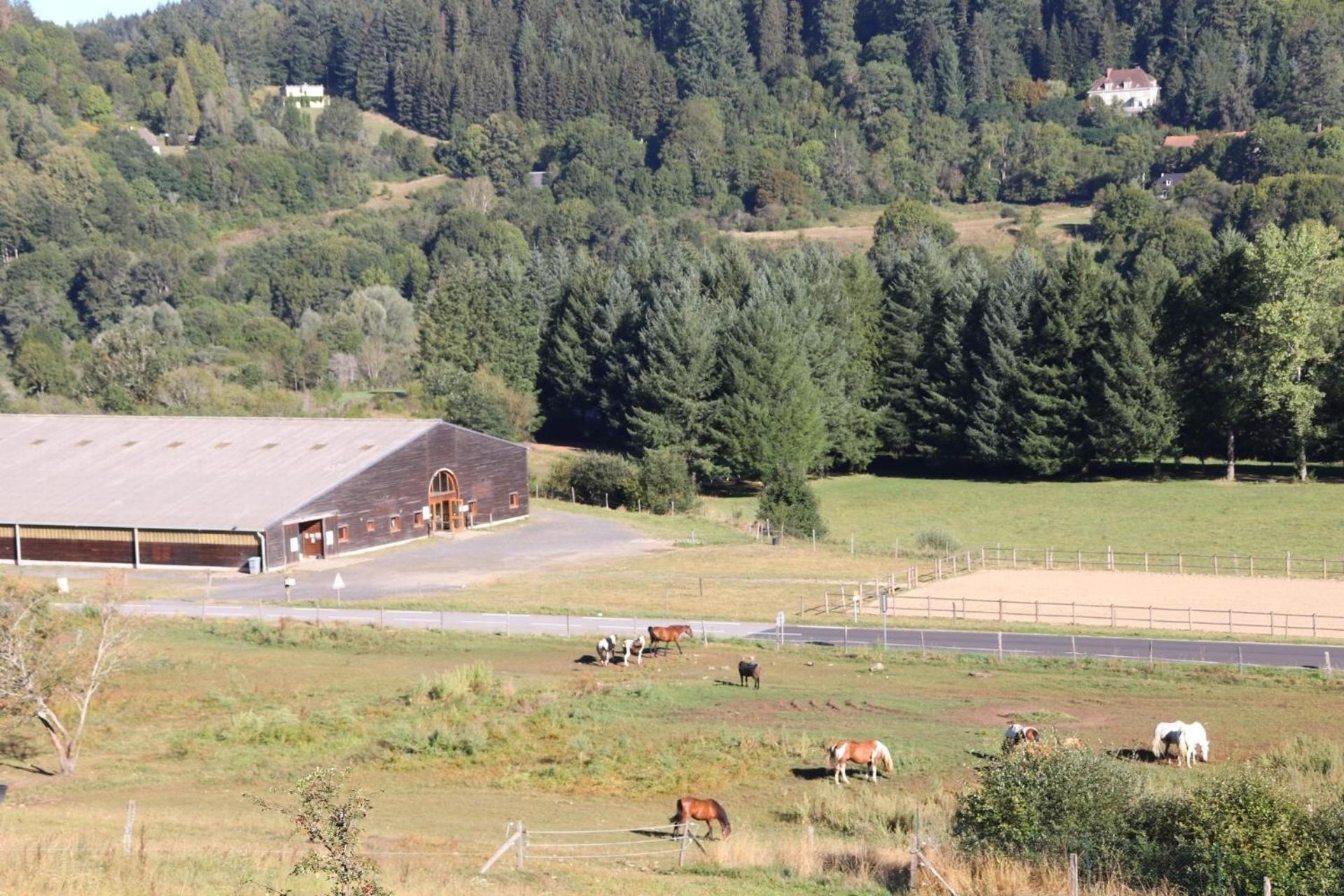 Camping La Borie Basse Condat  エクステリア 写真